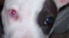 Timeline: ch8 and 10 timeline