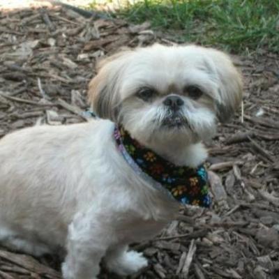 Timeline: Evansville