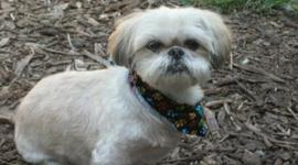 Timeline: Evansville