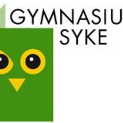 Timeline: Geschichte GymSy