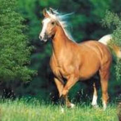 Timeline: My Biography