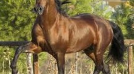 Timeline: My biography Antonio González López