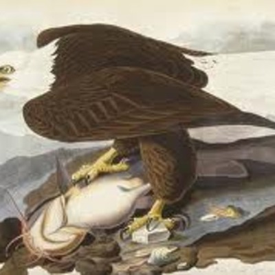 Timeline: J.J.A timeline