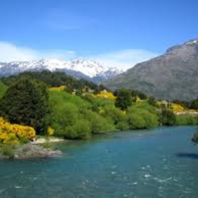 Timeline: Environment