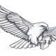 Hawkwithbook