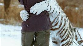 Timeline: 1930s APUSH