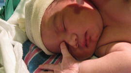 Timeline: Sia's Milestones