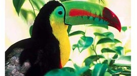 Timeline: Environmental Sustainability Costa Rica Timeline