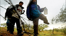 Timeline: Demographic Changes (Immigration)