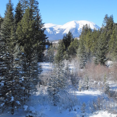 Timeline: WWII Timeline