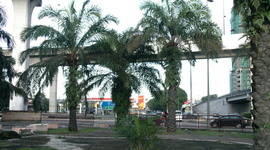 Timeline: Subang Jaya Millennium Park Chronology of Events