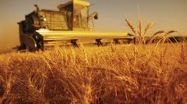 Timeline: Imporovements in Agriculture