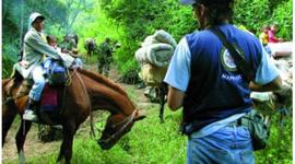 Timeline: Misiones de Paz de la OEA