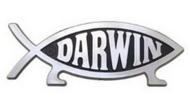 Timeline: Period 7, Keisi, Ennis, History of Earth Timeline.