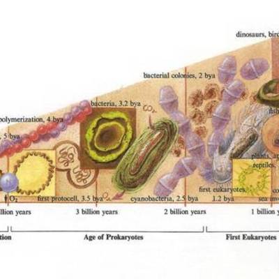Timeline: Period 1, Dang Yuan, History of Earth Timeline