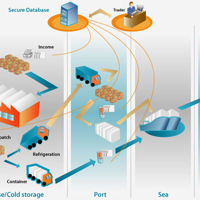 Timeline: Monitoreo del proyecto