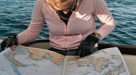 Timeline: Erin's Career