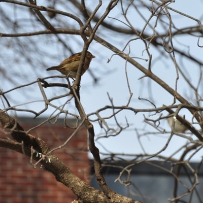 Timeline: Testing the Timeline