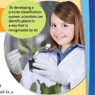 Timeline: Classifying Plants