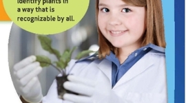 Timeline: Classifying Plants