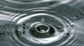 Timeline: Annual Precipitation in Anchorage