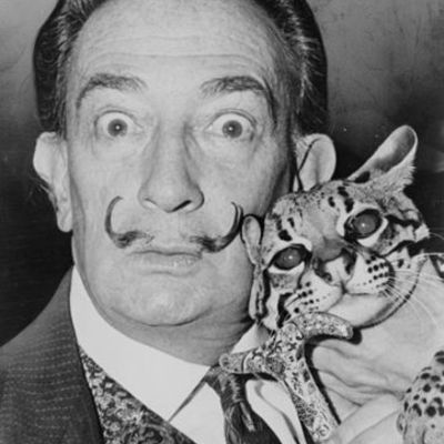 Timeline: Salvador Dalí