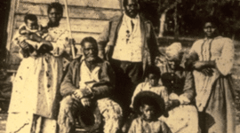 Timeline: Diminishing Progress 13