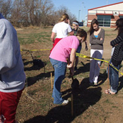 Timeline: decomosition dig