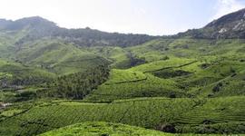 Timeline: Deminishing Progress