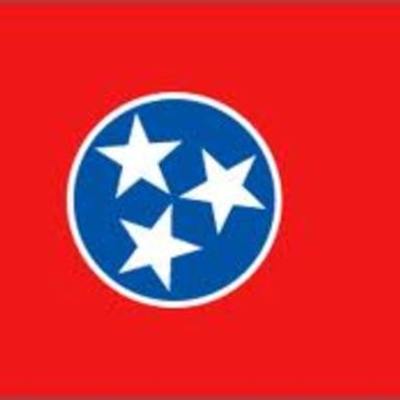 Timeline: Evelyn Schaffer 1st period