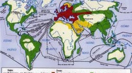 Timeline: Causas de los descubrimientos