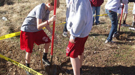 Timeline: decomposition dig