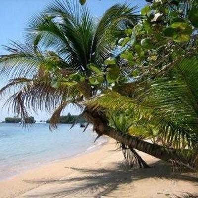 Timeline: Costa Rica- Bentley School