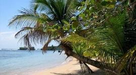 Timeline: Costa Rica- Bentley School