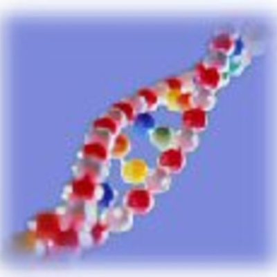 Timeline: The rise of nutrigenomics