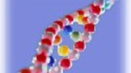 Timeline: The rise of nutrigenomics