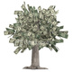 Money tree