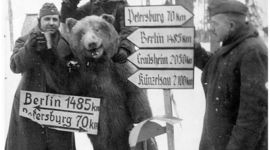 Timeline: World War I: Timeline of Epic Events