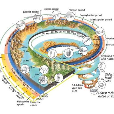 Timeline: Period 5, McClure-Bradney,History of Earth Timeline