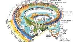Timeline: Period 5, McClure-Bradney,History of Earth Timeline