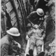 Wwi16