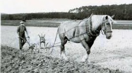 Timeline: Distant voices