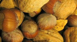 Timeline: History of Food Allergy in Canada