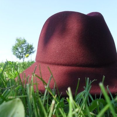 Timeline: My Life in Erikson's Theories