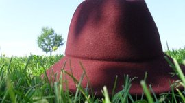 Timeline: My Life in Erikson's Theories