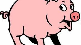 Timeline: period 5 lopez puryear, History of Earth Timeline