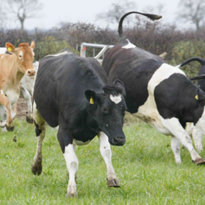 Timeline: Space Inventions :)