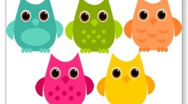 Timeline: Major Events