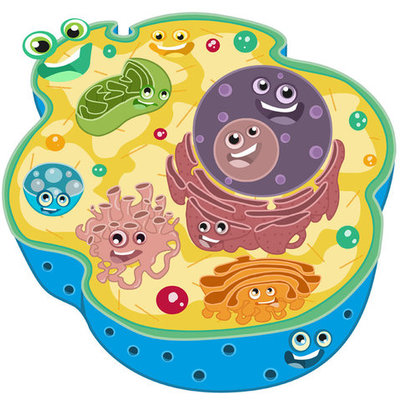 Timeline: LA CÉLULA