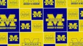 Timeline: Michigan